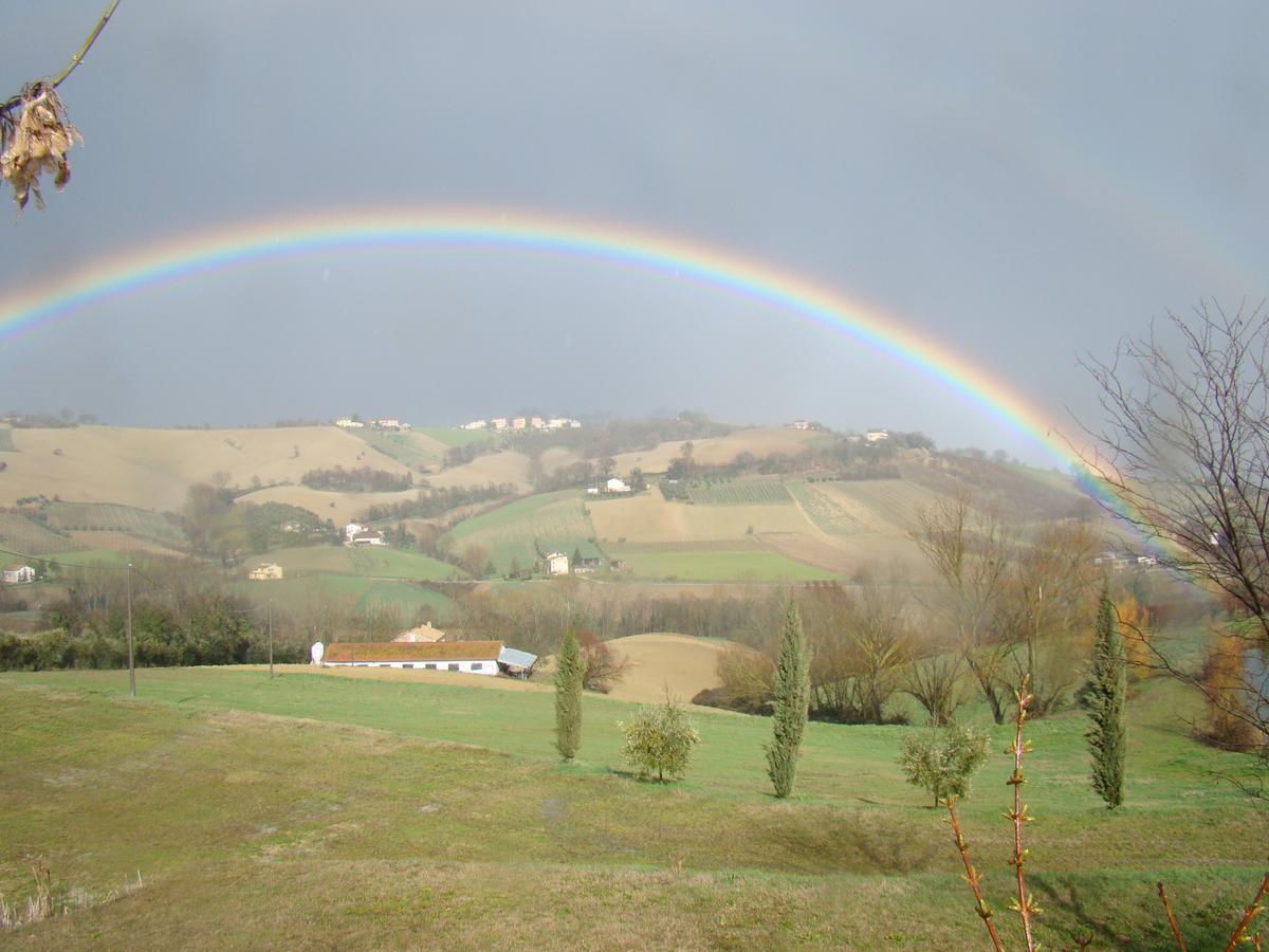 Agriturismo Vecchio Gelso 오르테짜노 외부 사진
