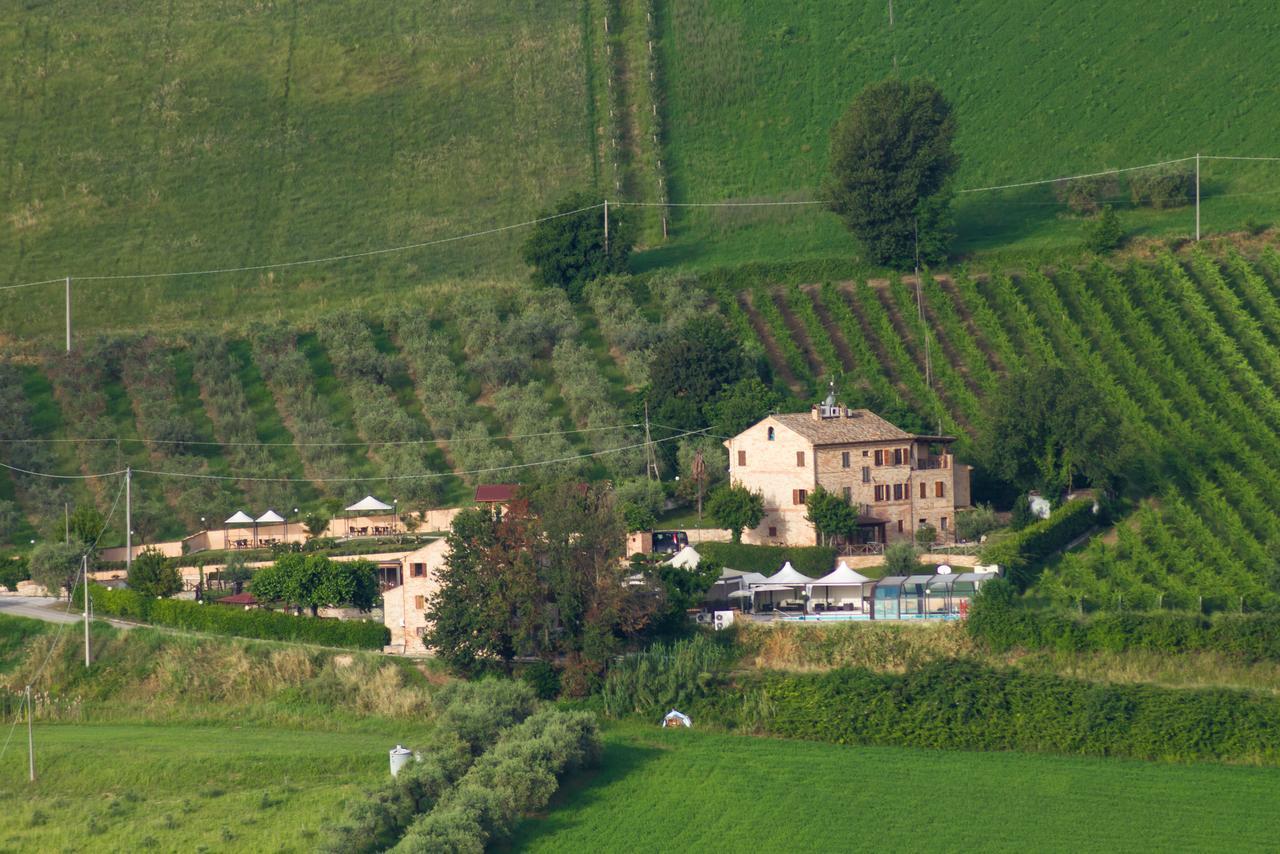 Agriturismo Vecchio Gelso 오르테짜노 외부 사진